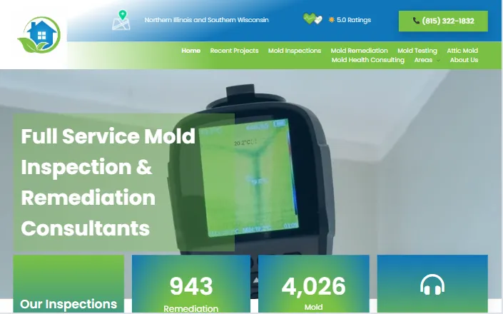 Healthy Home Mold website project